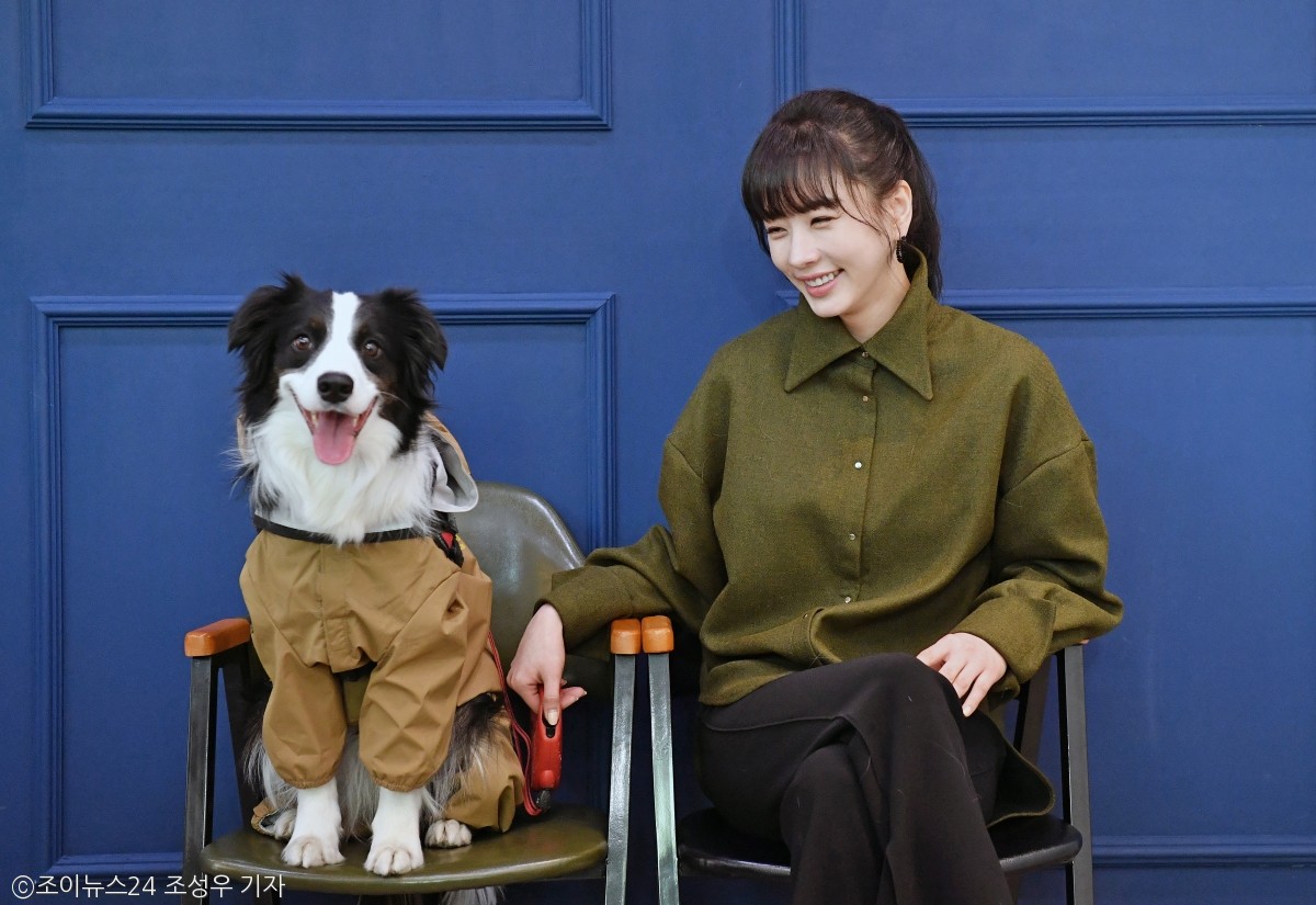 노트펫