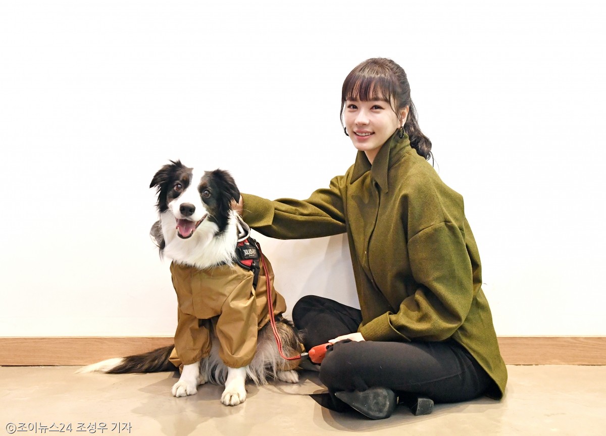 노트펫