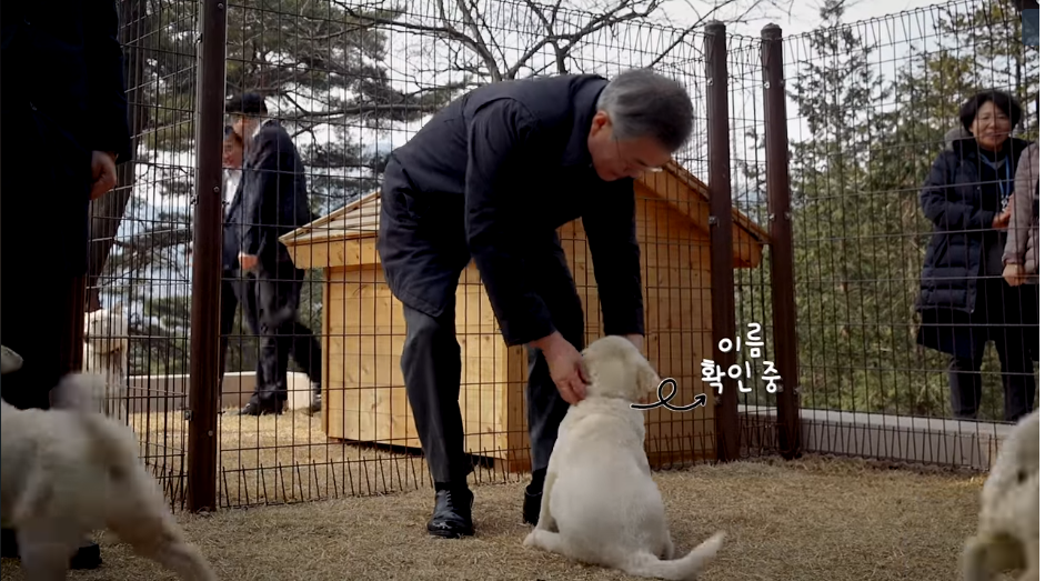 노트펫