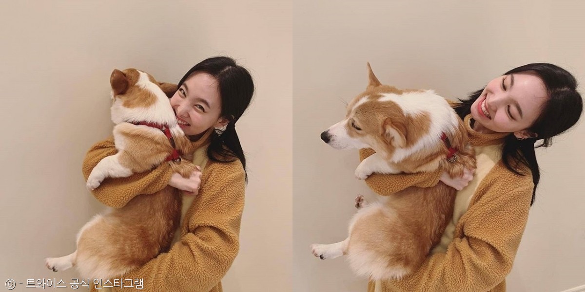 노트펫