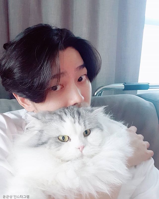 노트펫