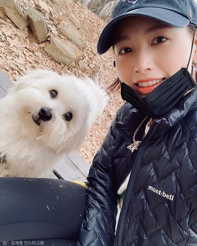 노트펫