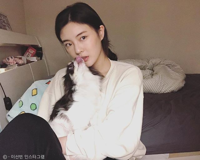 노트펫
