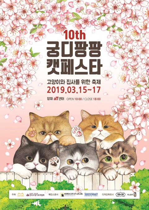 노트펫