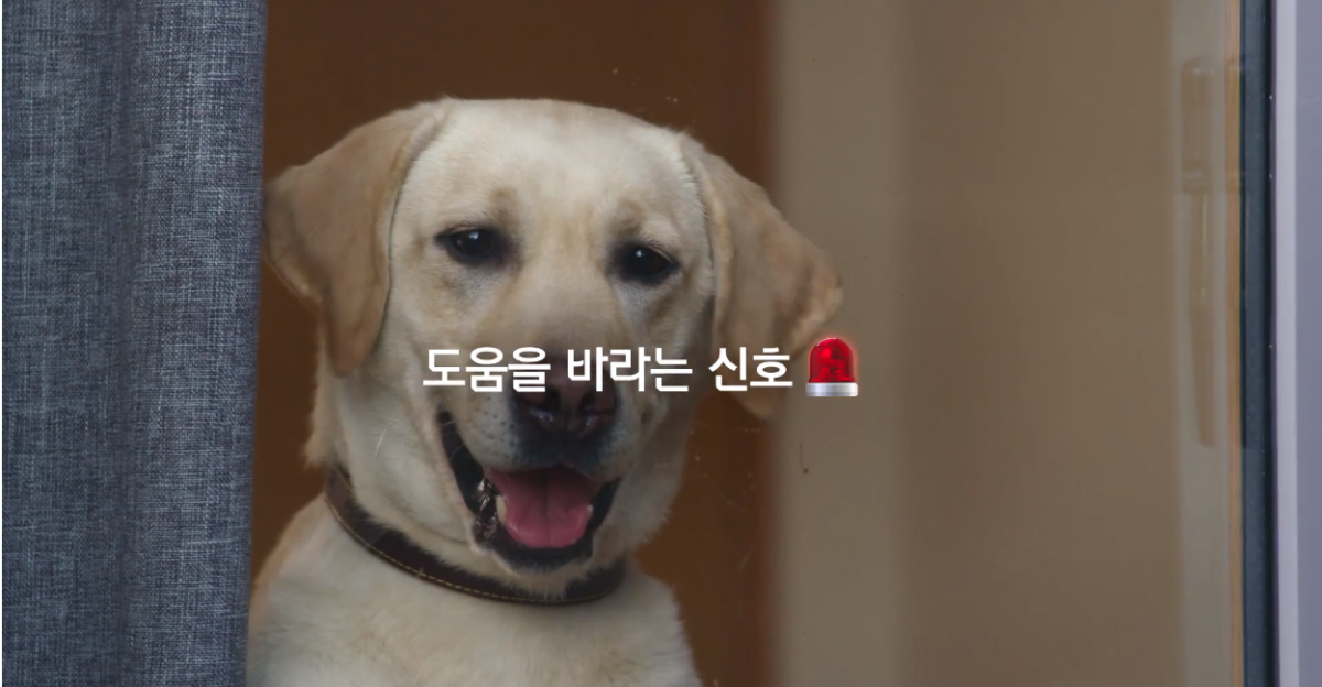 노트펫