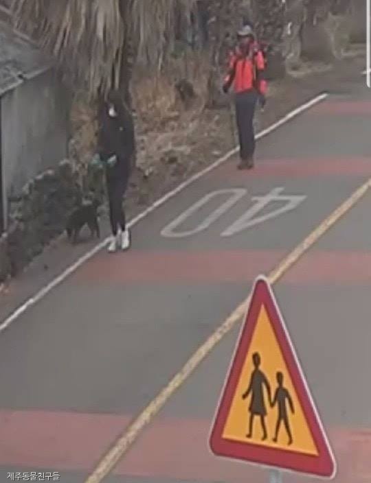 노트펫