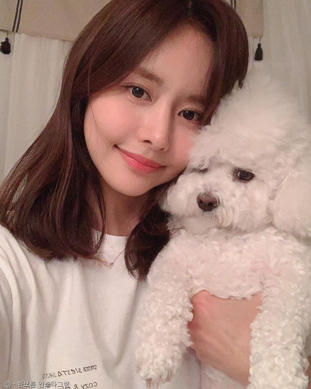 노트펫