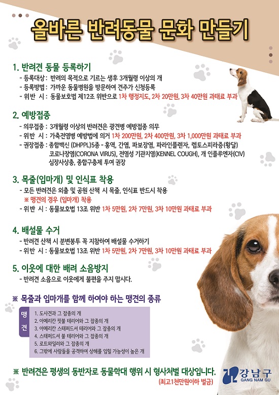 노트펫