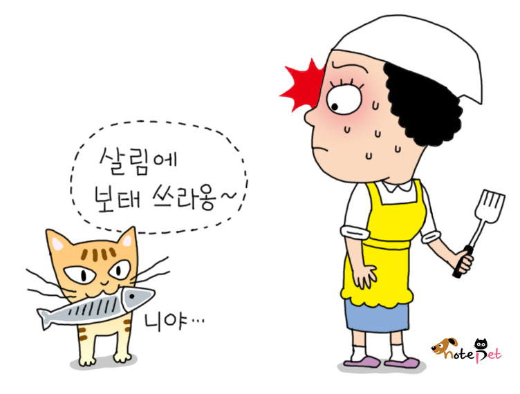노트펫