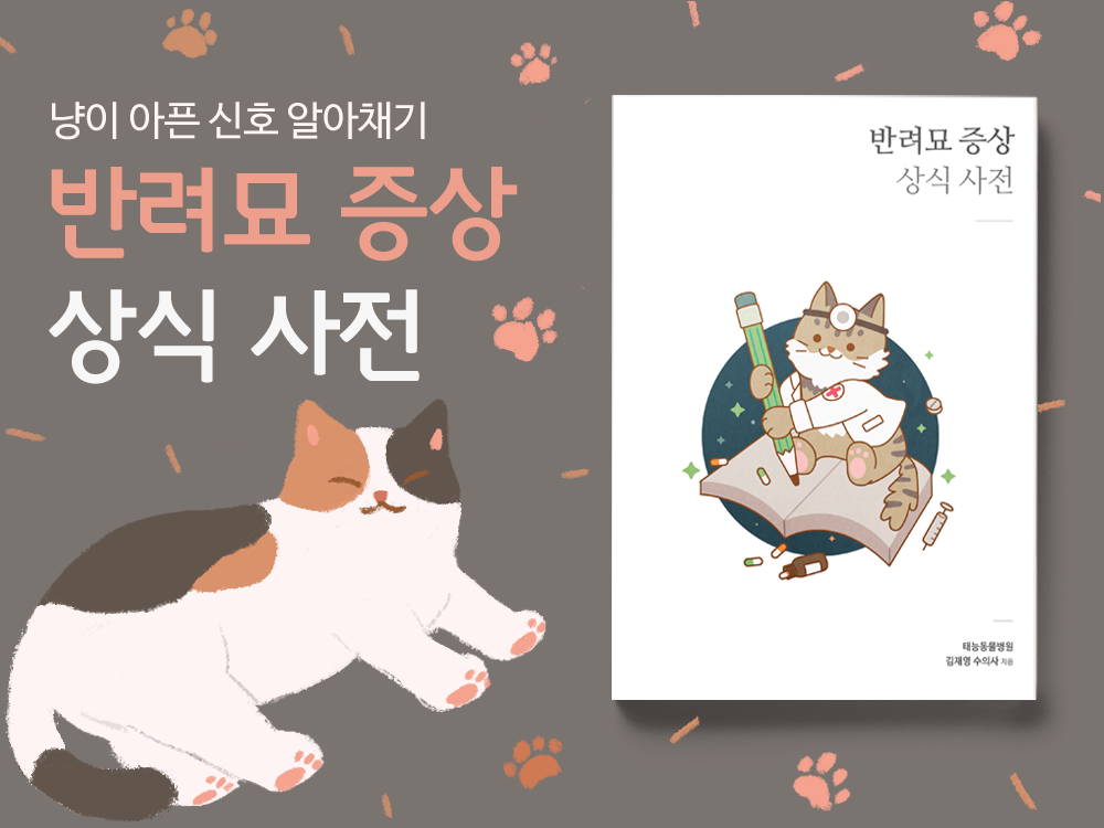 노트펫