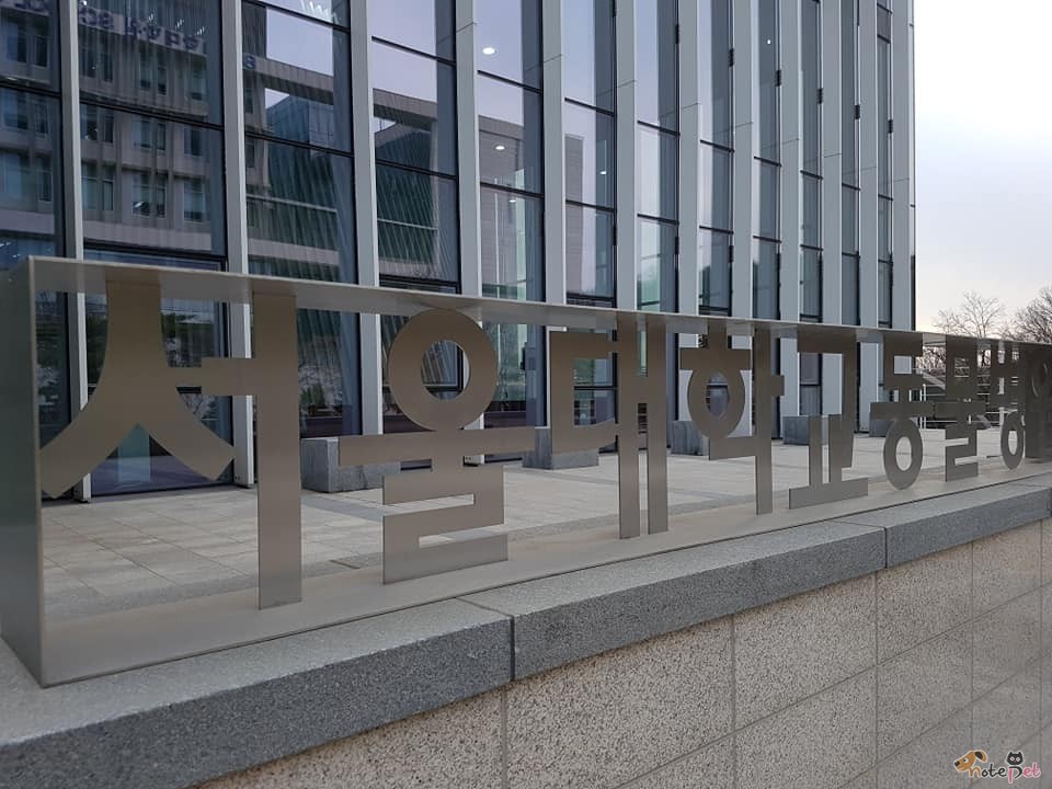 노트펫