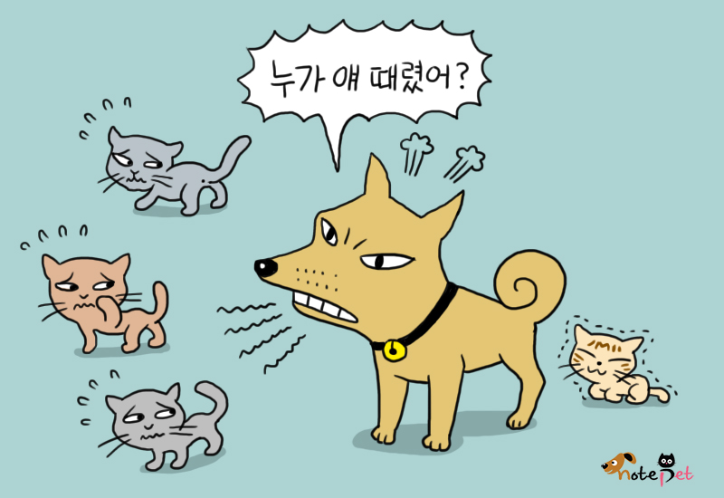 노트펫