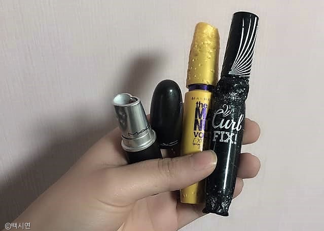 노트펫