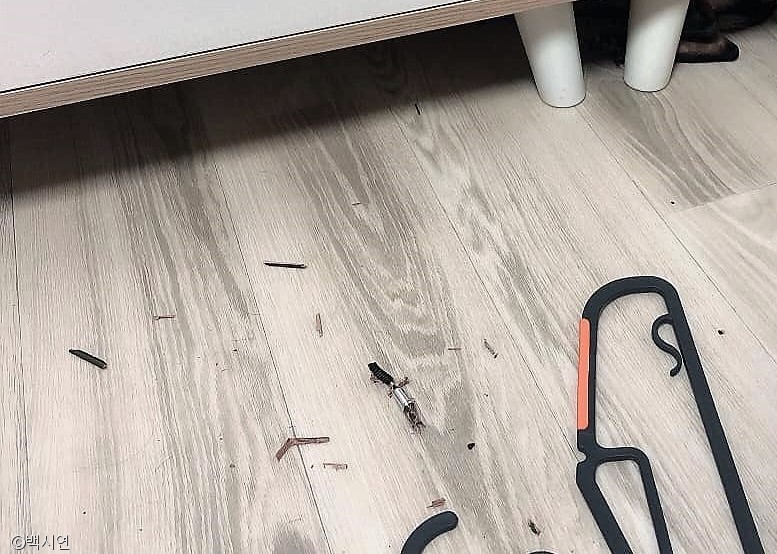 노트펫