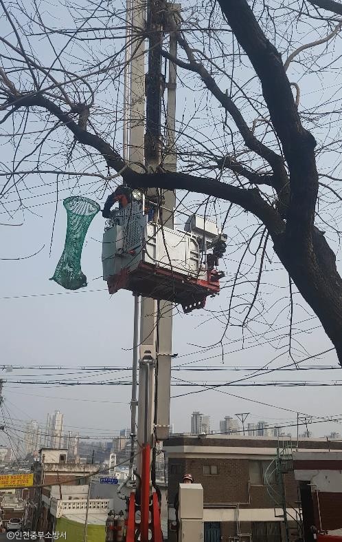노트펫