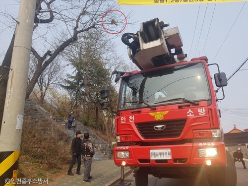 노트펫