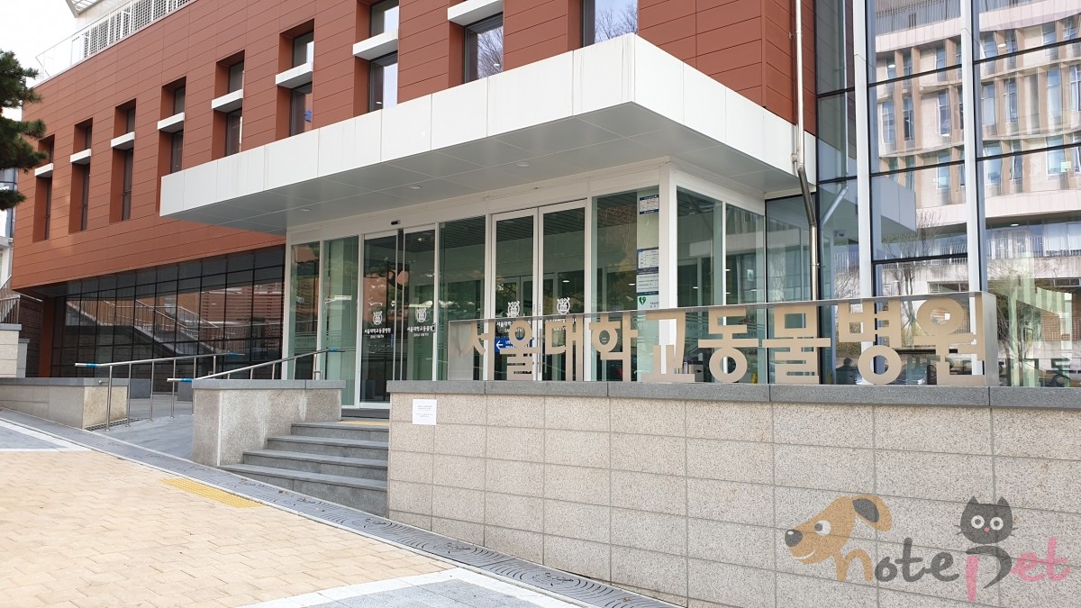 노트펫