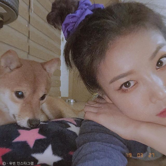 노트펫