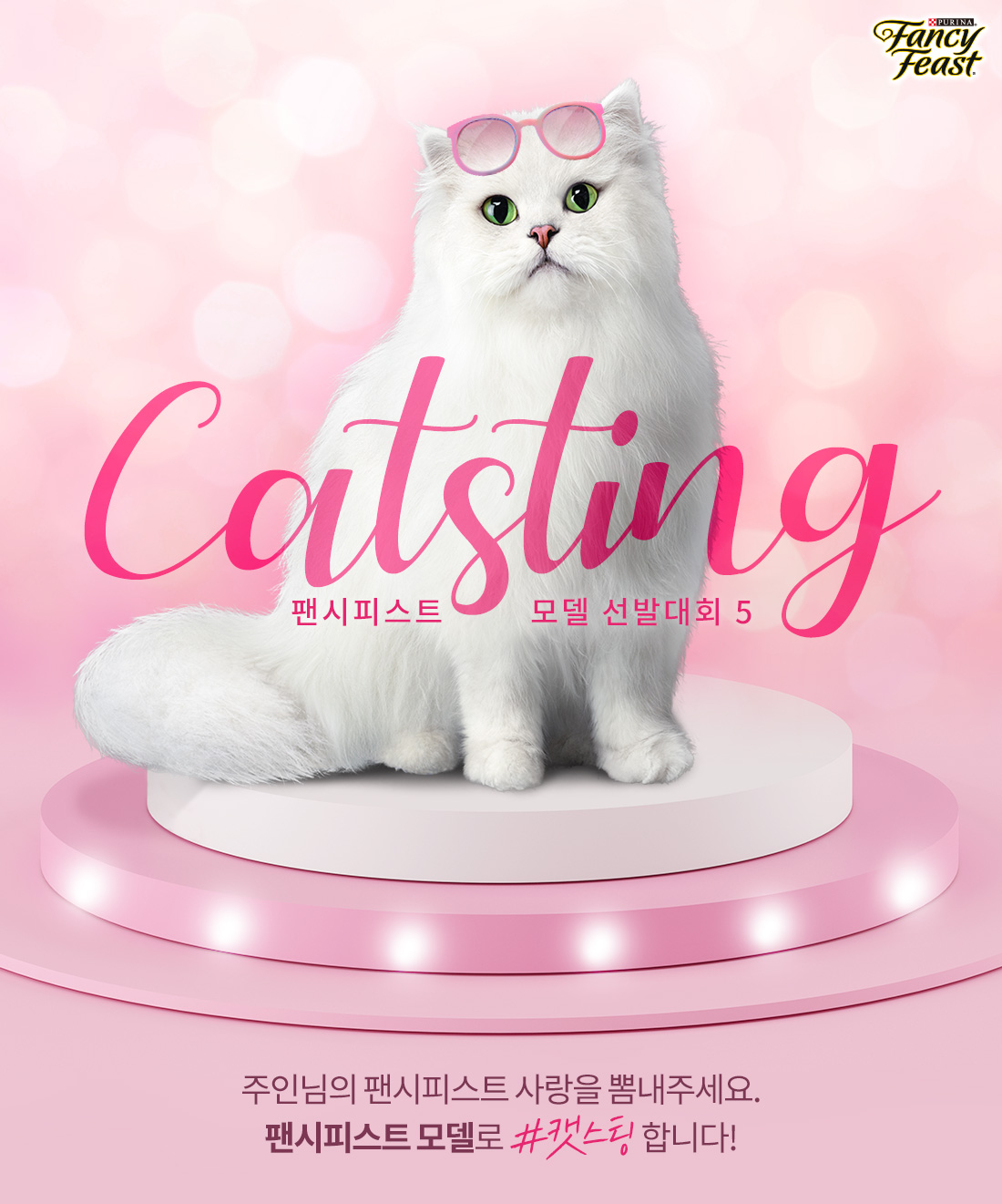 노트펫