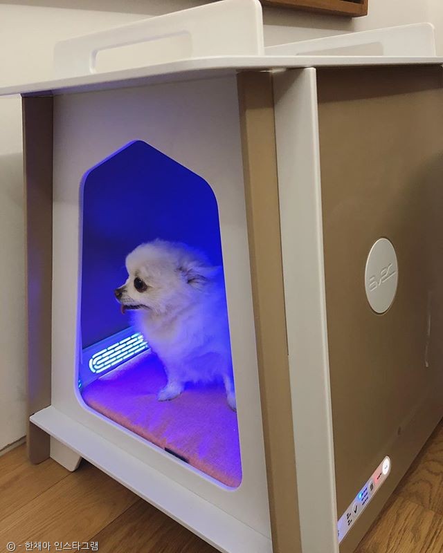 노트펫