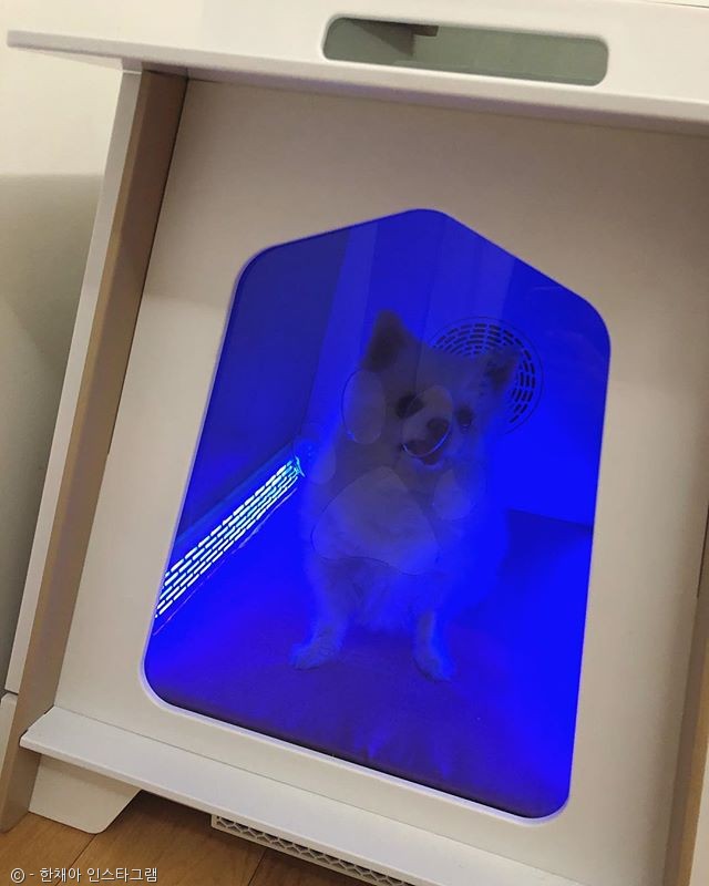 노트펫