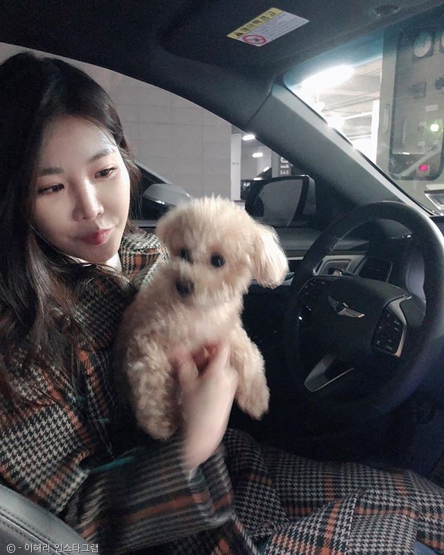 노트펫