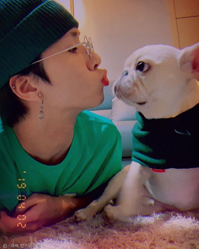 노트펫