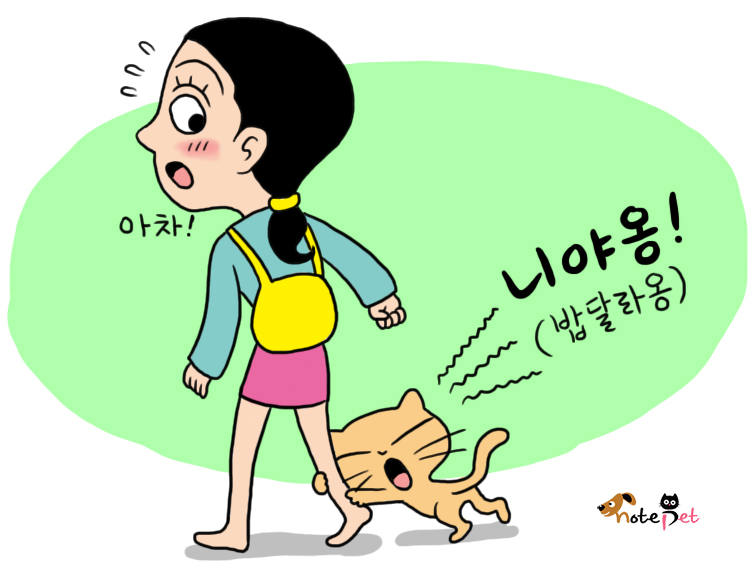 노트펫