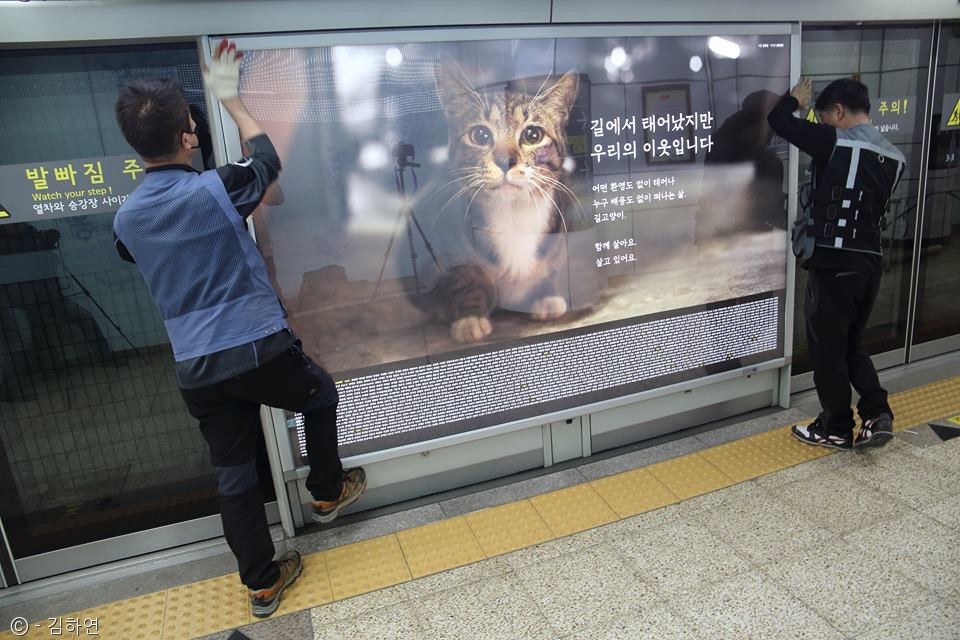 노트펫