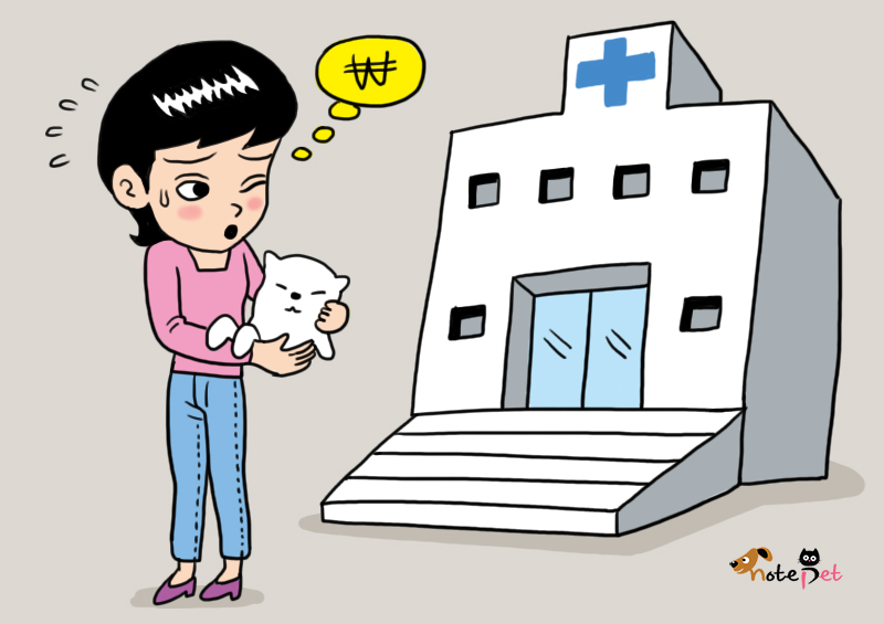 노트펫