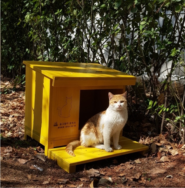 노트펫