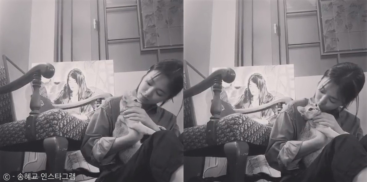 노트펫