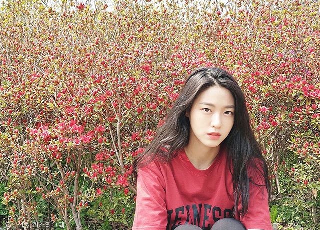 노트펫