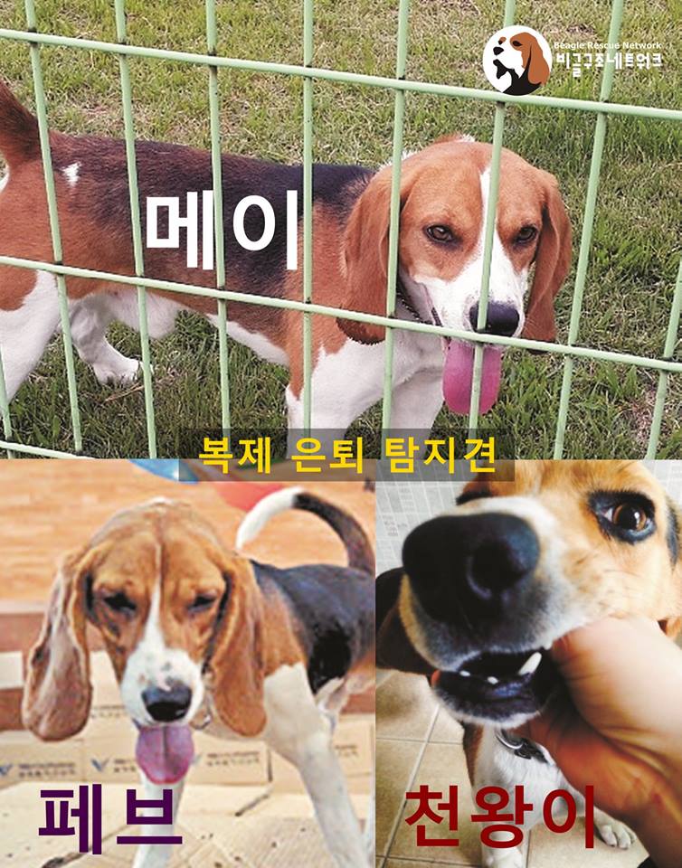 노트펫