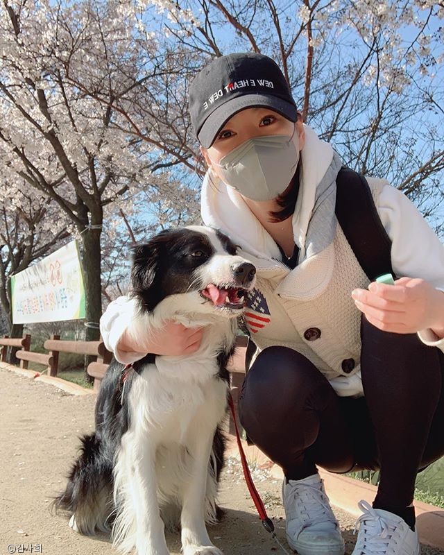 노트펫