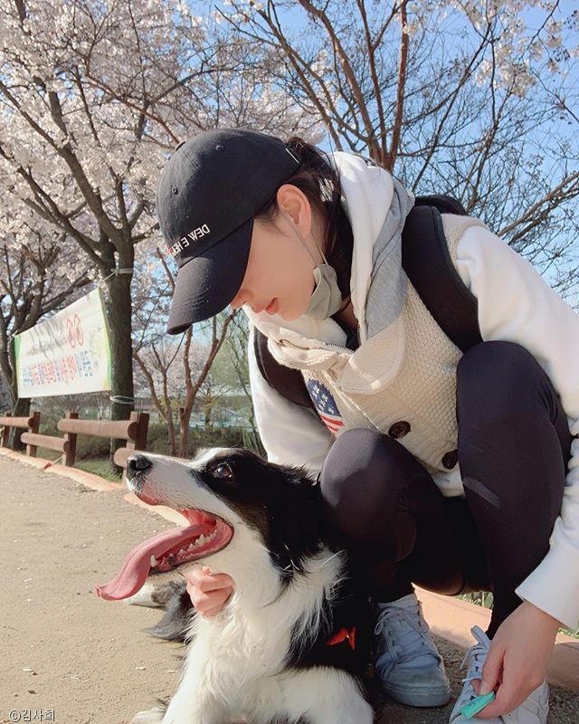 노트펫