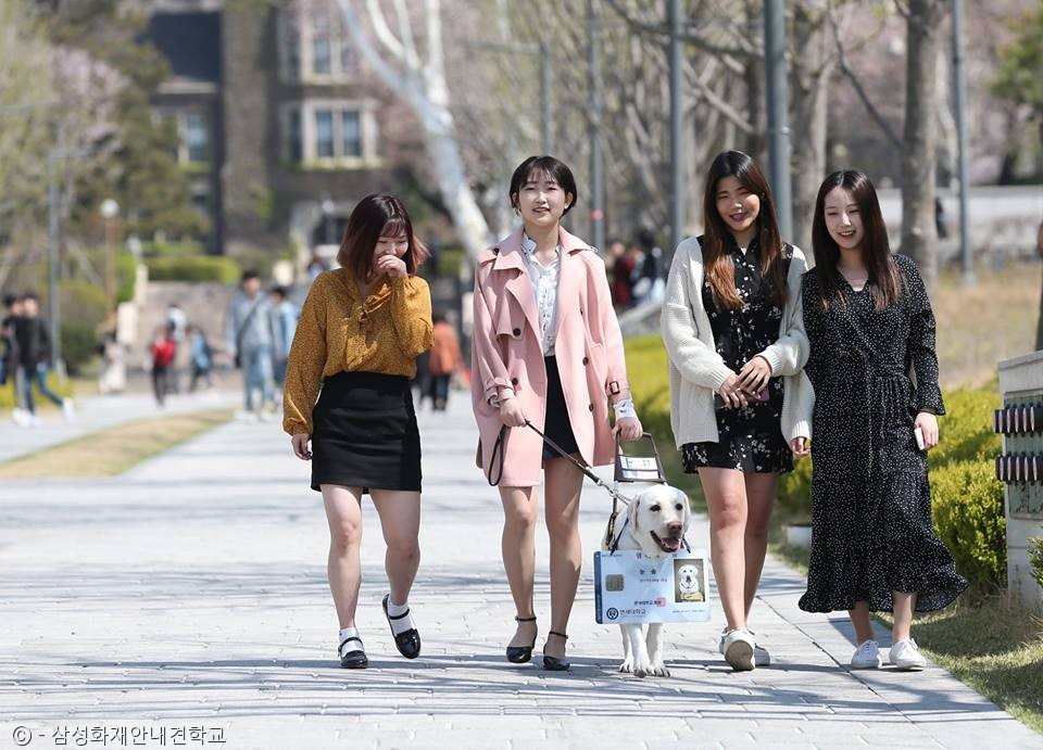 노트펫