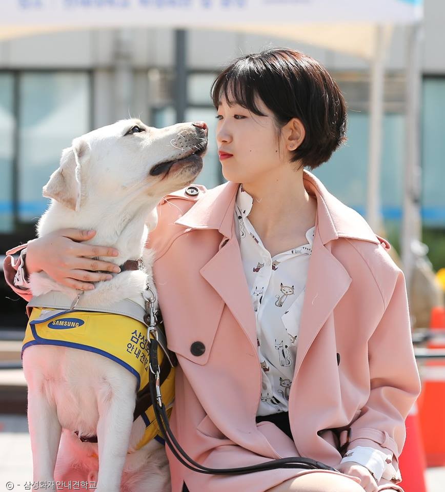 노트펫