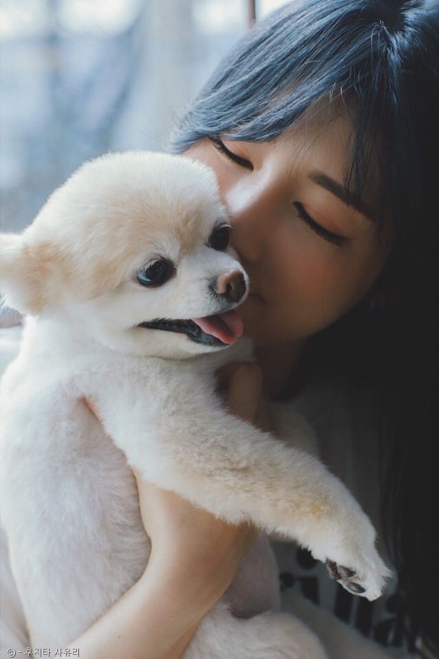 노트펫