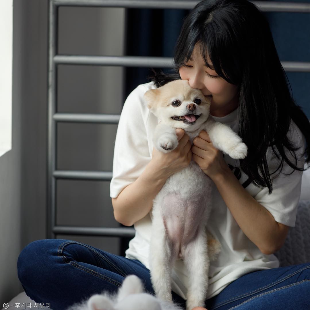 노트펫