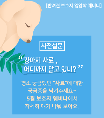 노트펫