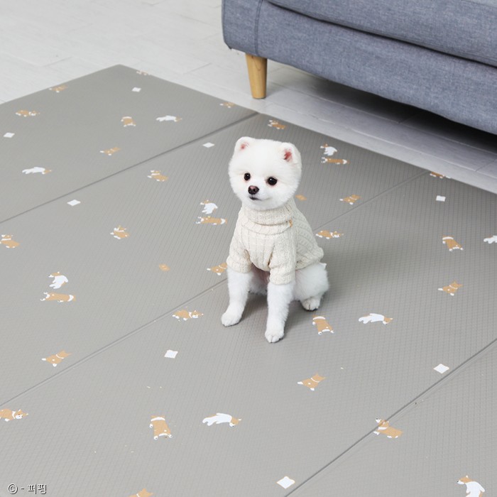 노트펫