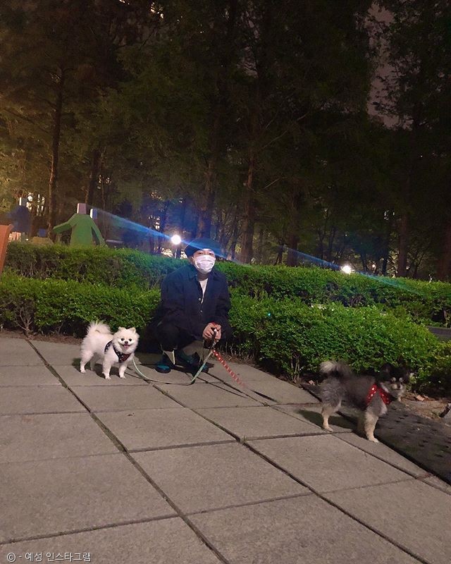 노트펫