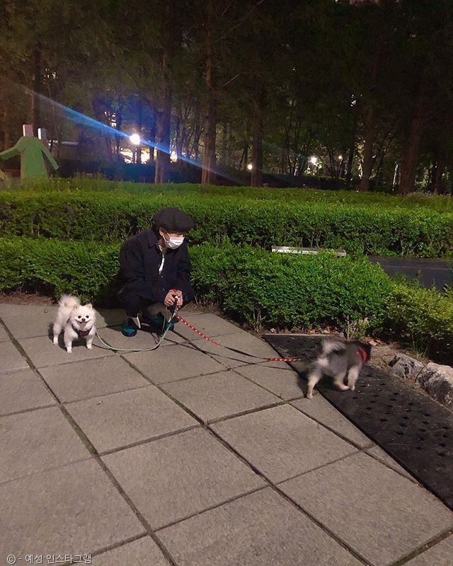 노트펫