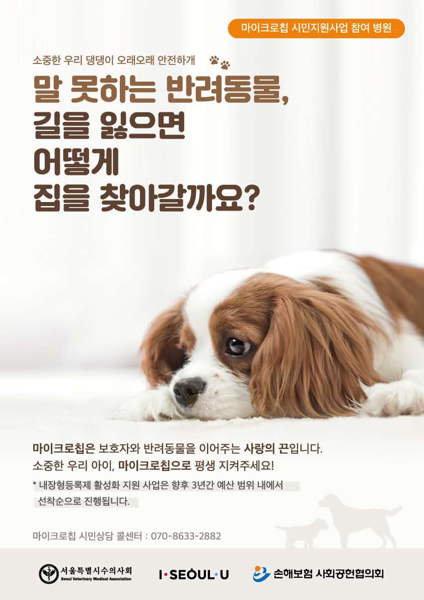 노트펫