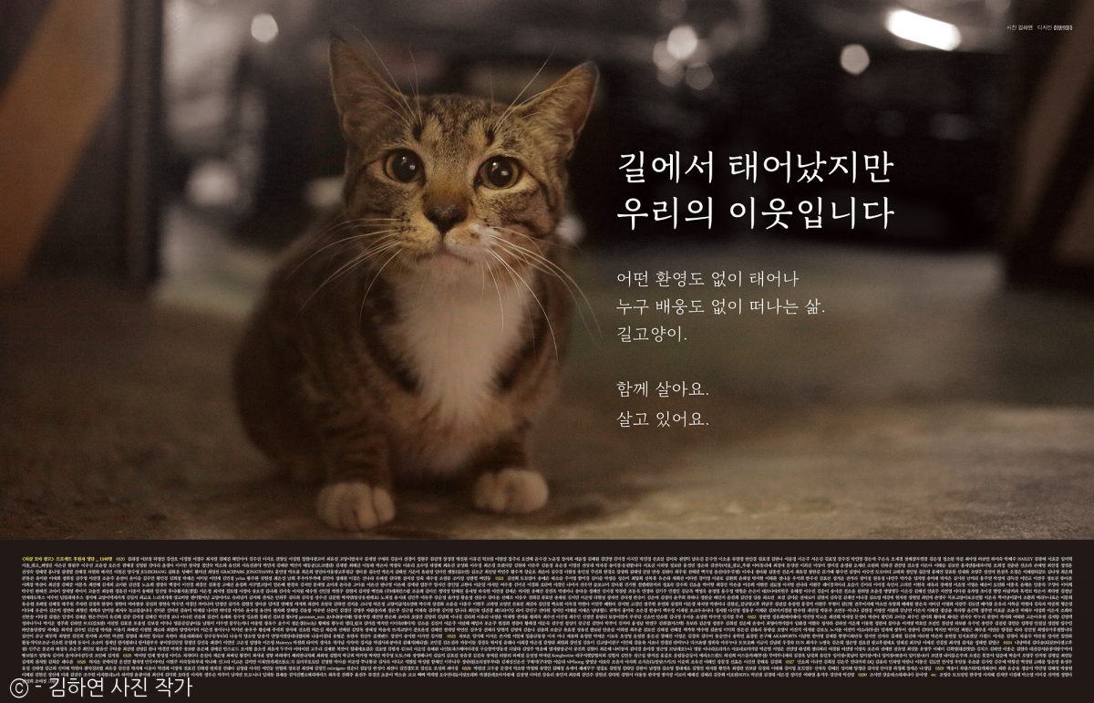 노트펫