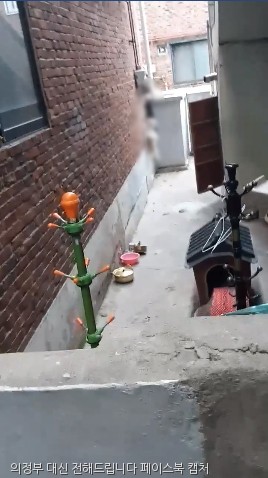 노트펫