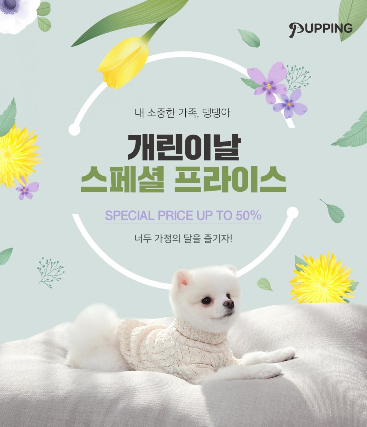 노트펫