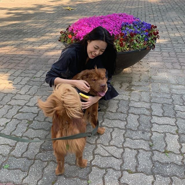 노트펫