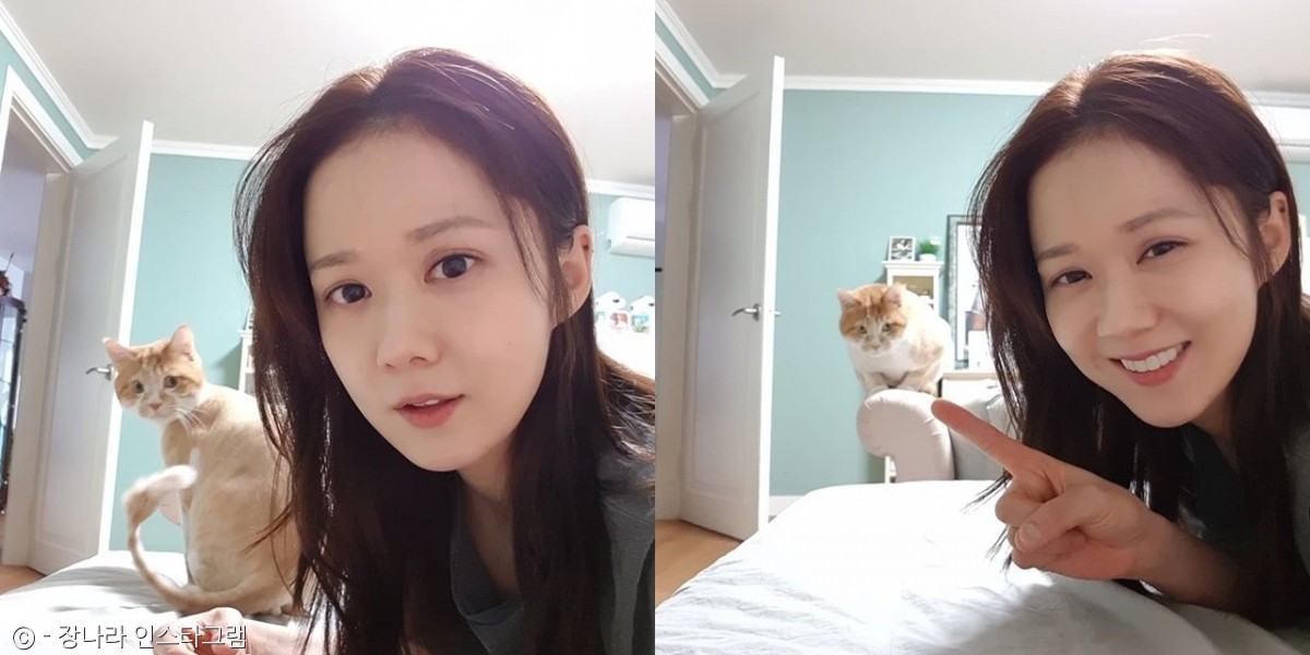 노트펫